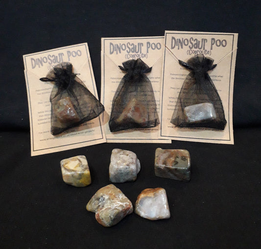 Coprolite - Fossilised Dinosaur Poo
