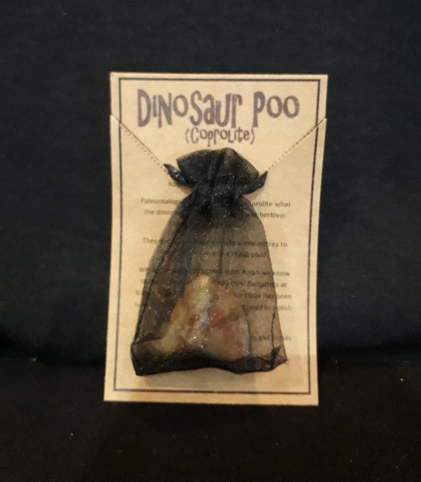 Coprolite - Fossilised Dinosaur Poo