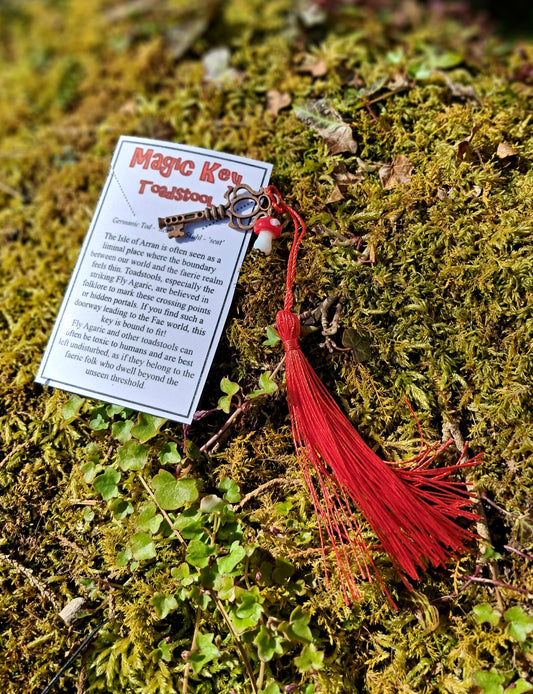 Magic Faerie Fairy Mushroom Key