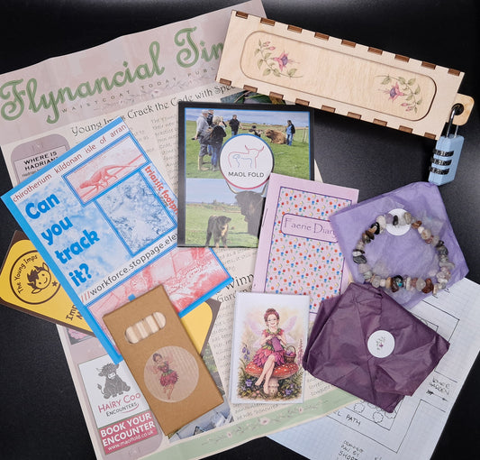 Fuchsia Faerie's Secret - Arran Mystery - Puzzle