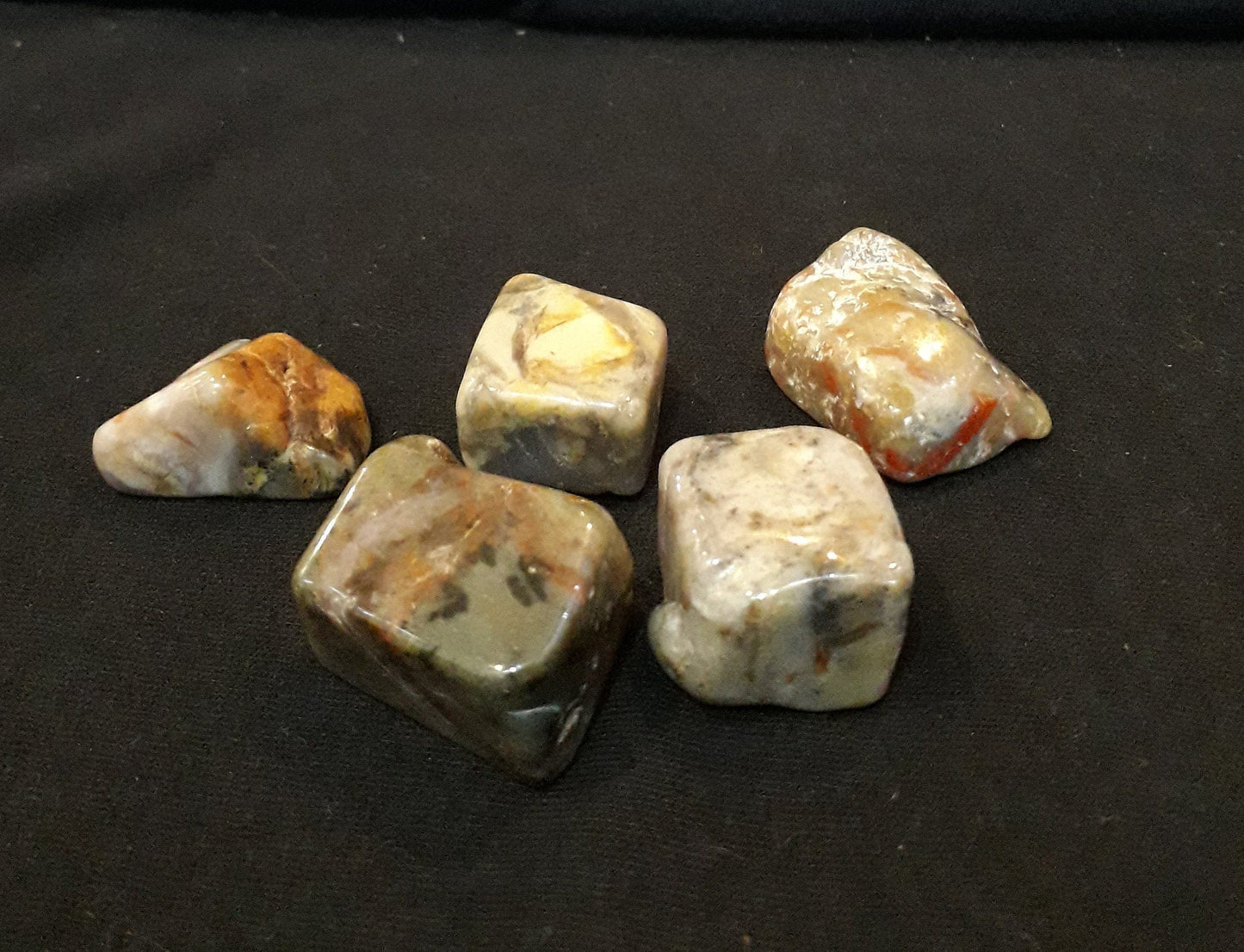 Coprolite - Fossilised Dinosaur Poo